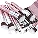 PINKPANDA Makeup Brushes 10 Pcs Sakura Pink Professional Make up Brushes Set Premium Synthetic Cosmetic Foundation Blending Blush Concealers Eye Shadows Face Powder Kabuki Make Up Brushes Kit