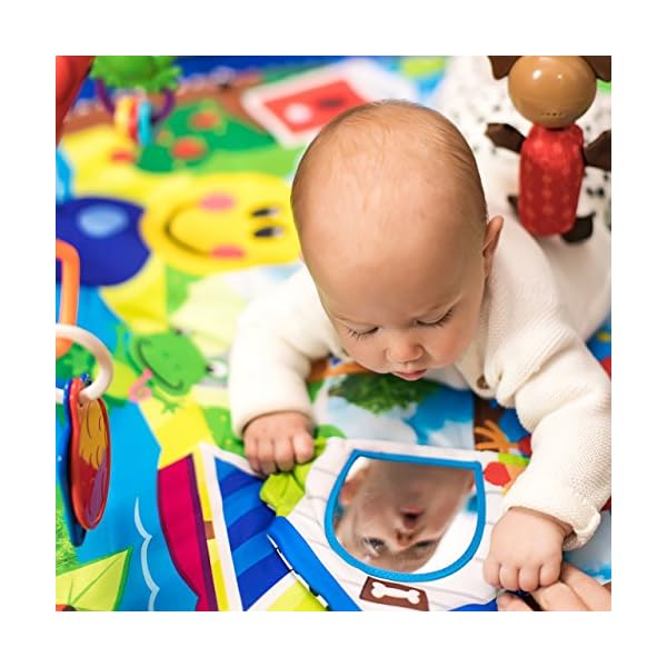 baby einstein caterpillar & friends play gym with lights and melodies