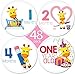 48 Pack of 4 Baby Monthly Stickers by KiddosArt. 1 Lilly The Giraffe Sticker Per Month of Your Baby's First Year Growth, Milestones and Holidays. Month Sticker for Boy or Girl