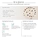 HP Sprocket LED String Light Photo Display with Clips (2HS29A)