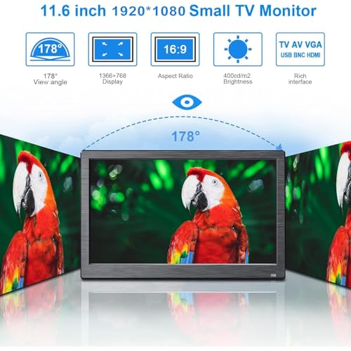 Portatile 11.6’ Monitor IPS HD 1920 * 1080P Plug and Play LED Monitor con VGA/BNC/HDMI/AV/USB/DC Ingresso per PC, Raspberry Pi, Security Camera