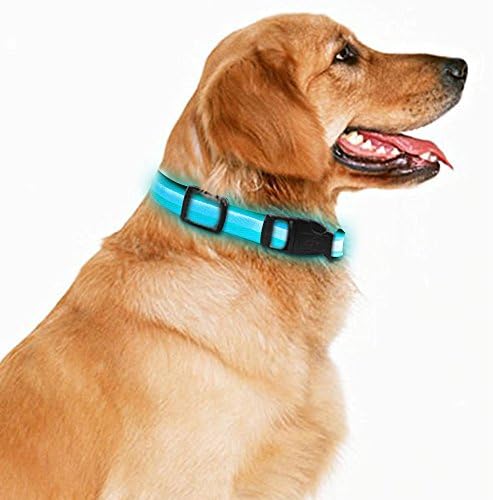 LED Dog Necklace Collar USB Rechargeable Loop Available in 4 Colors Pink Green Blue Black 3 Size For You to Choose Makes Your Dog Visible Safe &amp; Seen (L, Blue)