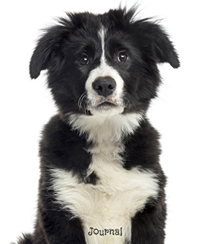 Journal Black And White Border Collie Puppy Dreamflight