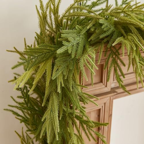 51jOMteHe2L.jpg