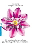 Méditation sur la perception : Dix pratiques thérapeutiques pour développer l'attention by