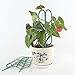 Wenje 3pcs Durable Climbing Rattan Plant Holder Ivy Vines Flower Rack Growing Plants Stand Adjustable Plastic Flower Stand Combinationthumb 2