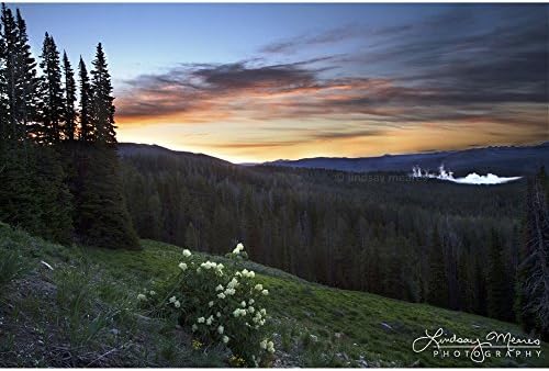 Yellowstone Print "Washburn Hot Springs Overlook" by TravLin Photography, Multiple Sizes (5x7 to 24x36)