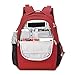 Pacsafe Metrosafe LS350 Anti-Theft 15L Backpack, Vintage Red