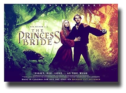 RÃ©sultat de recherche d'images pour "princess bride film"