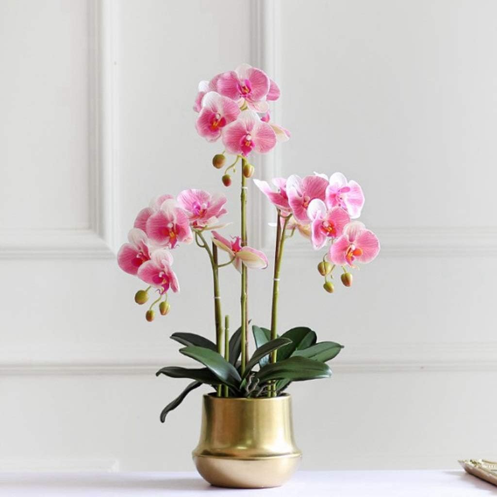 Amazon Com Anchor1 Artificial Flowers Furnishing Decoration