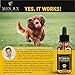 (2 Pack | 1000mg) Hemp Oil for Dogs Cats Pets, Organic Calming Dog Treats for Separation Anxiety Pain Relief - Natural Hemp Extract Stress Sleep Aid - Zero THC CBD Cannabidiol - Joint Hip Supplements