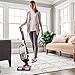Shark Upright Vacuum Cleaner – DuoClean Technology for Carpet and Hardwood Floors - Swivel Steering, Detachable Canister, Lightweight - Pet Multi-Tool, Duster Crevice Tool – NV800W