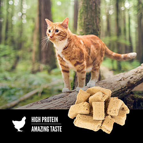 ORIJEN Original Freeze Dried Cat Treats, Grain Free Treats for Cats