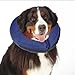 Total Pet Health Inflatable Dog Collars - Veterinarian-Approved Collars Designed to Prevent Pets from Scratching and Biting at Injuries, Stitches, Rashes, and Wounds - Medium, Blue