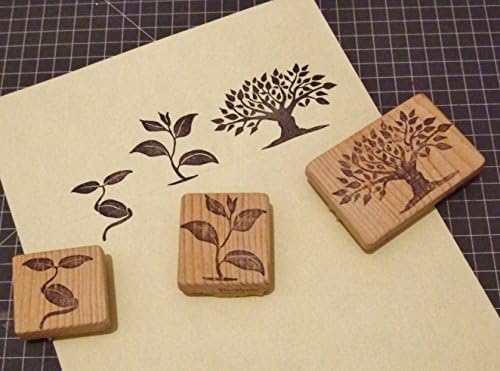 From Seed to Tree - Hand carved rubber stamp set