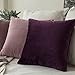 MIULEE Pack of 2 Velvet Soft Soild Decorative Square Throw Pillow Covers Set Cushion Case for Sofa Bedroom Car 16 x 16 Inch 40 x 40 cm Eggplant Purple