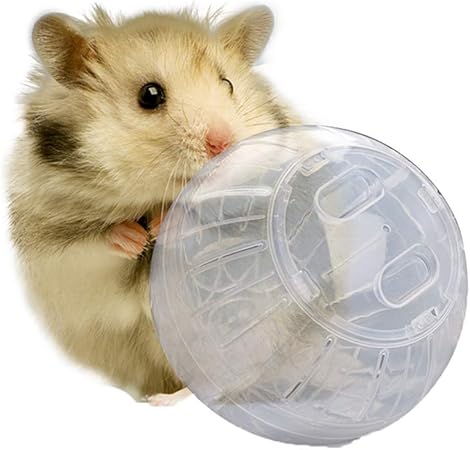 mice hamster