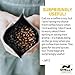 Smell Proof Bags (25 Pack) - Resealable Heat Sealable Ziplock Mylar Bag - 4x6 Inch Durable Reusable Sample Foil Bag - FDA Approved Snack Food Sample Sized Tear Resistant Pouch by Smelly Guard Bags (Black)