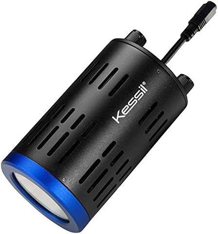 american journey cat food petsmart