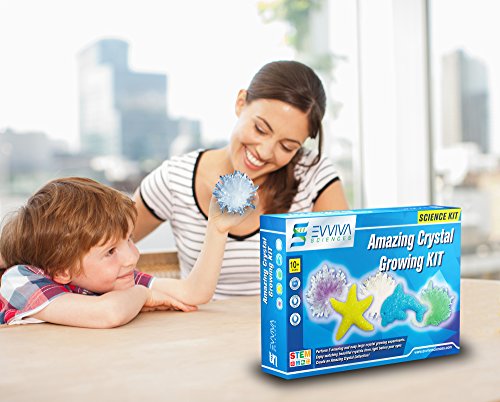Crystal Growing Kit For Kids - Evviva Sciences - Science Kit To Make & Grow Rocks, Crystals, Gems - Easy All Inclusive Set - Chemistry, Geology & Learning Experiment Toy - w/ eBook