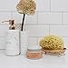 Shea Moisture Coconut Hibiscus Facial Mask w Songyi Mushroom 4 oz