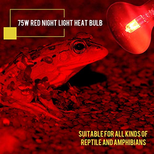 OMAYKEY 75W 2 Pack Infrared Heat Lamp Bulb Red Light Glass Heating Lamps Bulbs for Lizard Snake Chameleon Bearded Dragon Aquarium Reptiles & Amphibians - Thumbnail 3