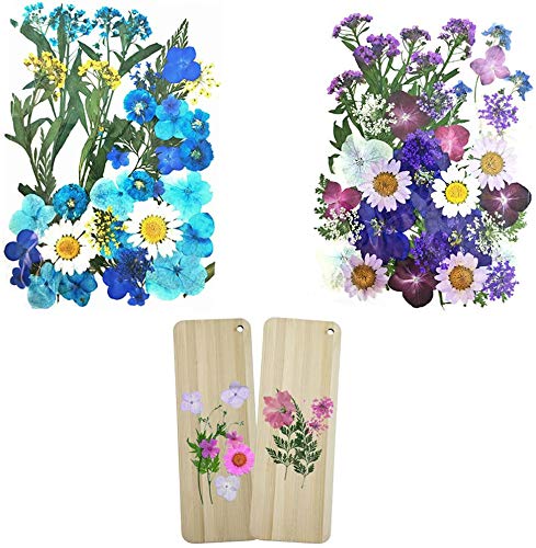 Set of 4 Packets Real Pressed Flowers Includes 2 DIY Flowers Wooden Bookmarks and 2 Dry Flowers Materials for Make Art & Craft