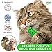 Ronton Cat Toothbrush - Durable Hard Rubber Cat Dental Care, Interactive Toothbrush Chew Toy (1 Pack Green (Shrimp))