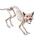 Collections Etc Scary Sound-Activated Skeleton Cat Halloween Decoration