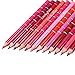 LuckyFine Lipliner Pencil Set with Pencil Sharpener (12-Pieces)