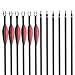 Musen Carbon Arrows 30-Inch Fletching 2.5'' Target Practice Archery Arrows for Recurve or Compound Bow(12 Pack) (Red)