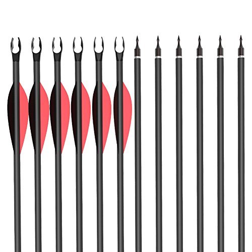 Musen Carbon Arrows 30-Inch Fletching 2.5'' Target Practice Archery Arrows for Recurve or Compound Bow(12 Pack) (Red)