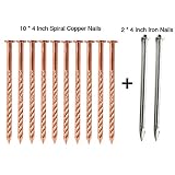 Zipcase 4 Inch (106mm) Solid Pure Copper Nails Extreme Long for Removing Trees, Stumps & Roots x 10 with 4 Inch Steel Nails x 2
