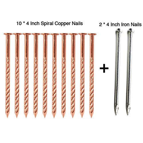 Zipcase 4 Inch (106mm) Solid Pure Copper Nails Extreme Long for Removing Trees, Stumps & Roots x 10 with 4 Inch Steel Nails x 2