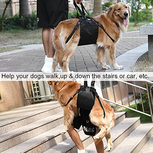 Dog Lift Harness, 2021 Newest Design Adjustable Thicker Dog Carry Sling