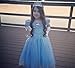 Cinderella Crystal Princess Party Costume Dress with Accessories (5-6)