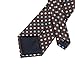 Barry.Wang New Classic Brown Polka Dot Tie Set