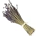WGIA Natural Dried Lavender Bundles - Freshly Harvested Lavender Bunch Royal Velvet Decorative Flowers Bouquet for Wedding DIY Home Party & Valentine's Day Gifts - 1 Bundle Pack