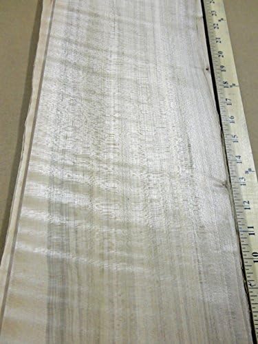 Spalted Maple Wormy Figured Ambrosia Wood Veneer 6" x 124" raw 1/42" Thickness