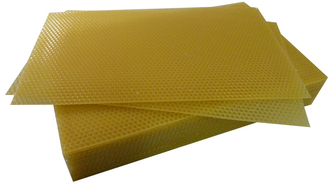 AGS DN4 Beeswax Foundation Honeycomb Beekeeping Hive Box Frame 25 Beehive Base Sheets Beekeeper Tools Equipment Brood frame wax
