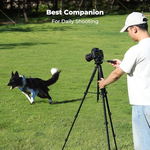 K&F CONCEPT 75" Lightweight Tripod, Camera Compact Tripod with Remote and 2-in-1 Phone Holder,Travel Phone Tripod with Removable 3-Way Pan Head for Selfie/Video Recording/Photo/Live Stream/Vlog