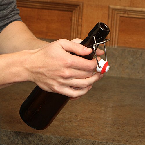 Swing Top Bottles w/Caps - 16.9oz, Amber Glass, Reusable for Homebrew - 6 pack
