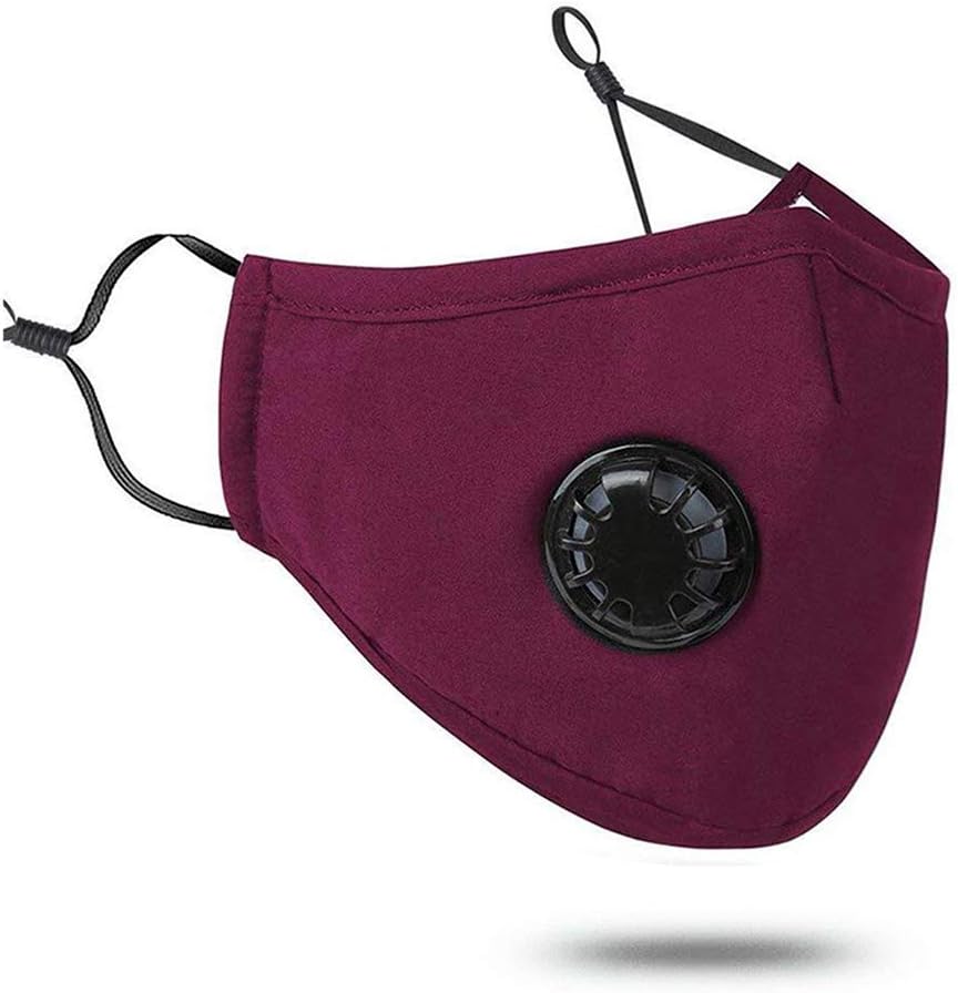 Sarplle PM2.5 Dust Mask Washable Protective Mask Fine Dust Mask Anti-fog Haze Dustproof Mask with Exhalation Valve and Double Filter For Smoke, Ash, Garden Pollen