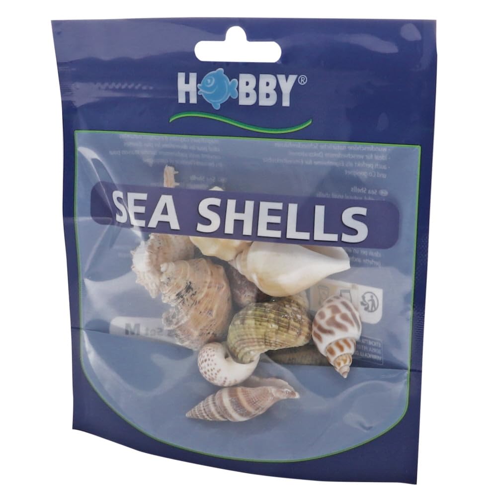 Hobby Sea Shells Set