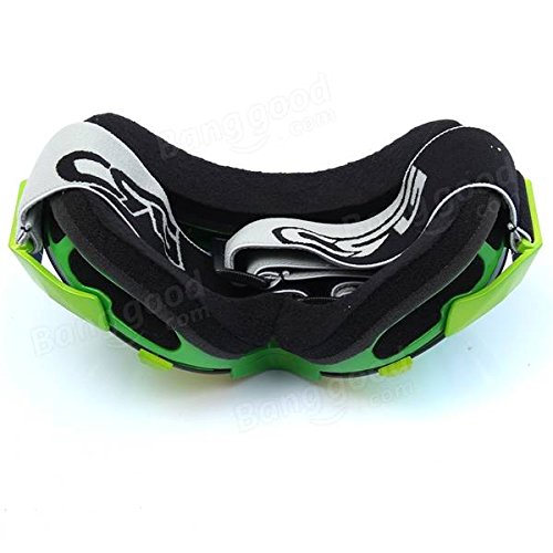Pink Lizard Outdoor Motorcycle Ski Goggles Spherical Dual Lens Snowboard Polarized Glasses