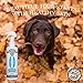 PRODOR Prebiotic Anti Itch Spray - A Natural Leave-In Dog Conditioner | For Dry Itchy Skin | Hydrates Dogs Sensitive Skin | Puppies | Calms Dog Skin Allergies | Dog Detangler | Vanilla & Oatmeal | 8oz