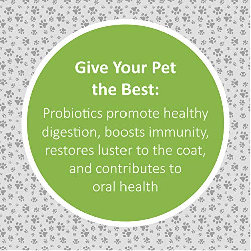 Veterinary Formula Clinical Care, Super Probiotic Premium Dog