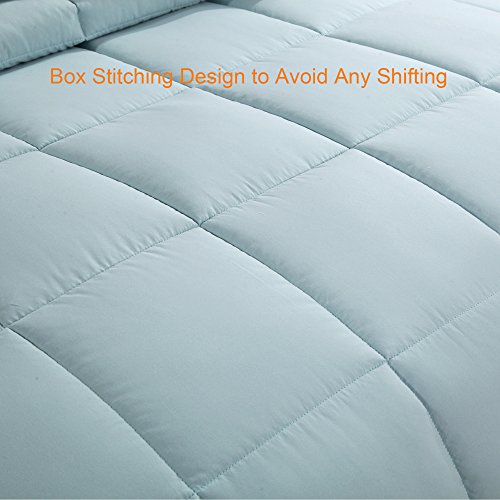 Homelike Moment Reversible Lightweight Comforter All Season Down