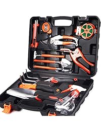 Juego de herramientas de jardín.