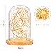Erosom Glass Dome Lamp Bell Jar Display Dome Bamboo Base String USB LED Bedside Table Lamp with LED Warm Fairy Starry String Lights Ideal for Decoration Anywhere.(Warm White)
